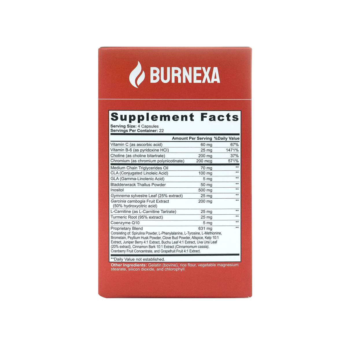 Burnexa Daytime Burner | Metabolism + Appetite Support
