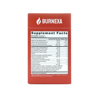 Burnexa Daytime Burner | Metabolism + Appetite Support